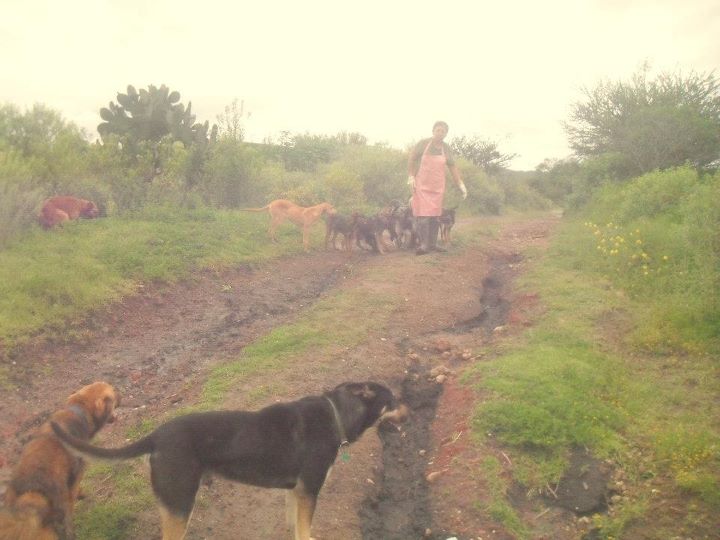 Ayuda Tula