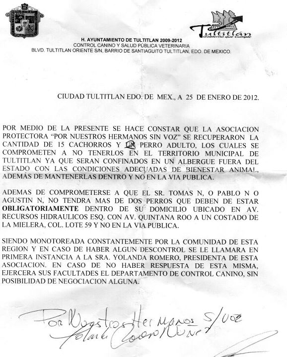 Documento