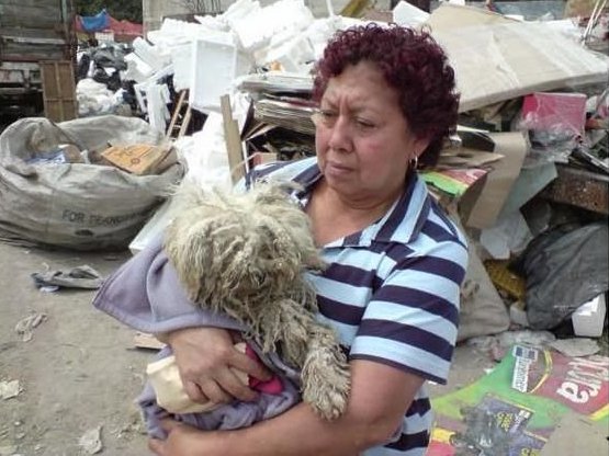 Yolanda