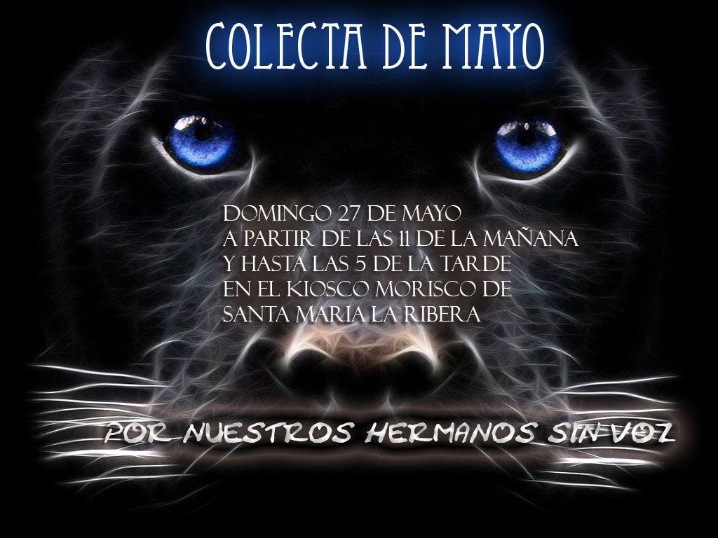 colecta_mayo