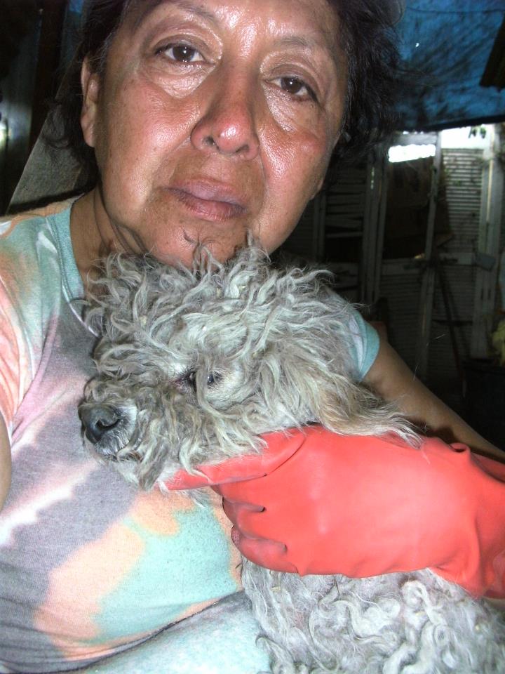 Yolanda y El Cachorro que se fue al Cielo